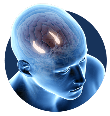 The Billionaire Brain Wave